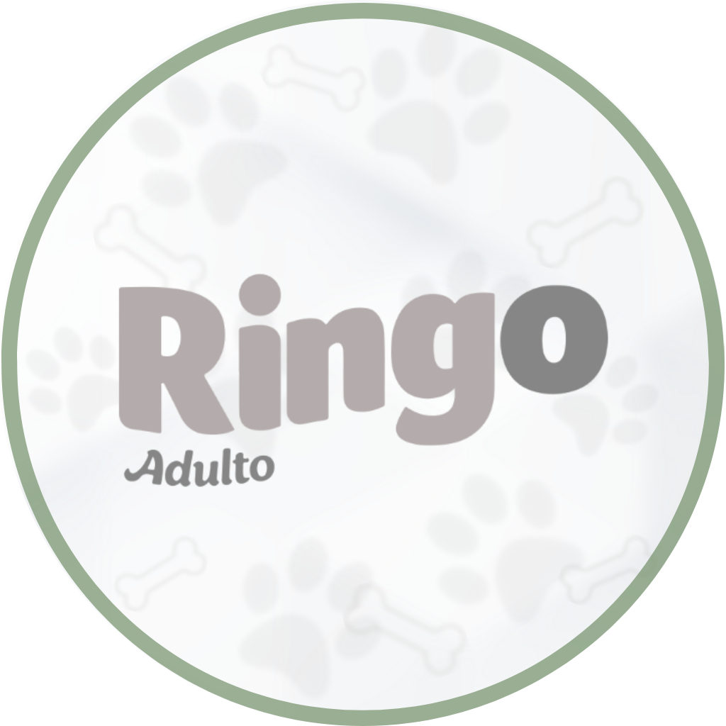 RINGO