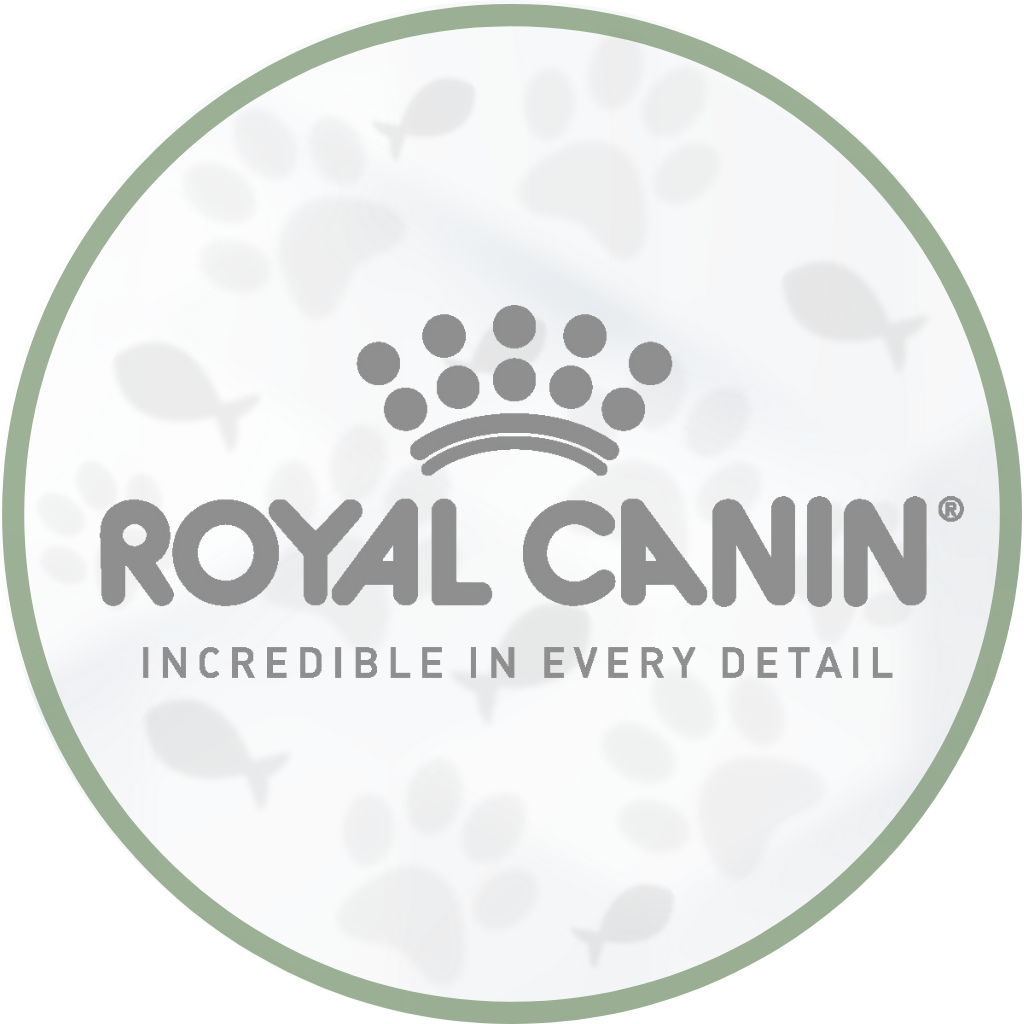 RoyalCanin Felino