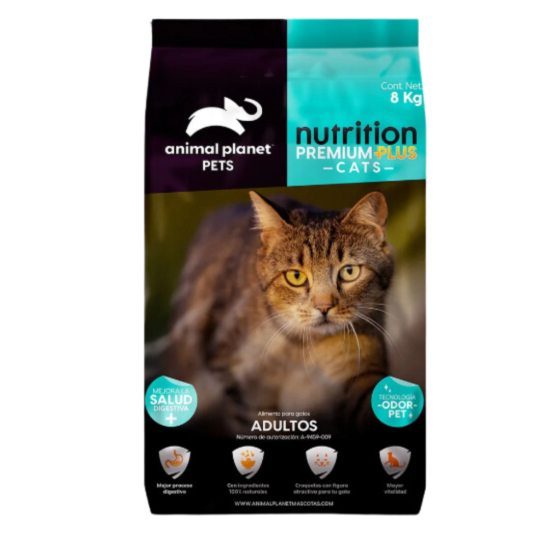Animal P. Gato Adulto