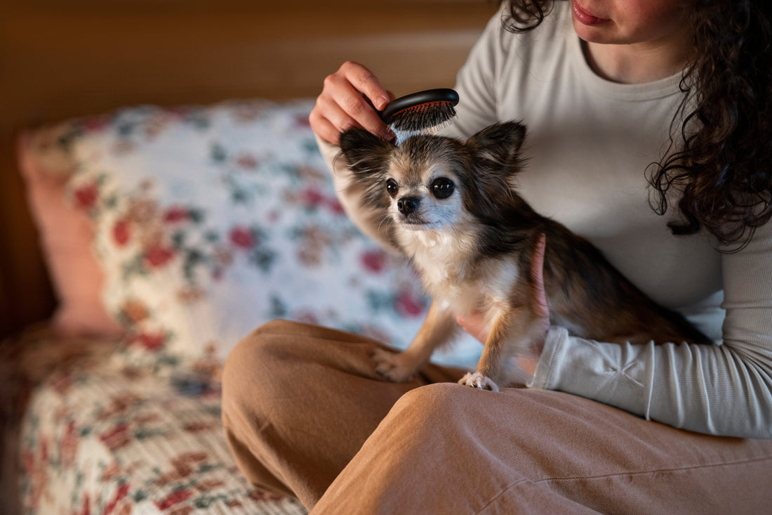 Dile Adiós a la Caída de Pelo: Guía para Mantener a Tu Mascota Saludable y Feliz