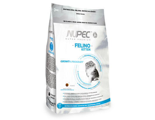 Nupec Felino Kitten